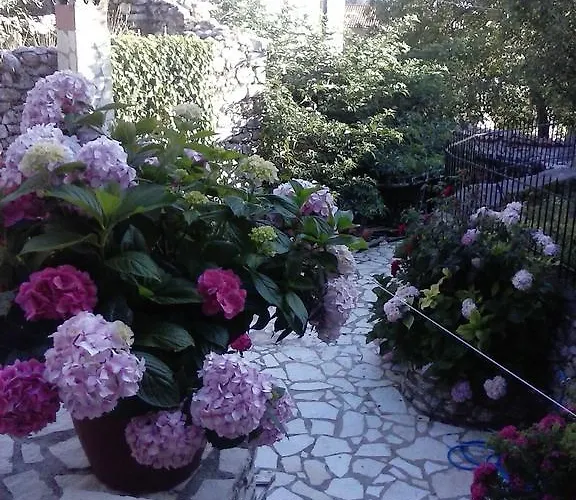 بيت ضيافة Guesthouse Stemnitsa ستيمنيتسا